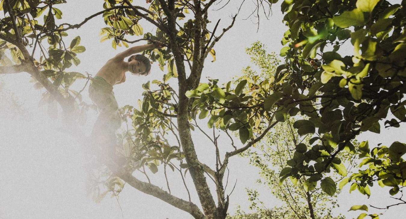 Feniks - kobiecość odzyskana (część wystawy "Uroda Życia")