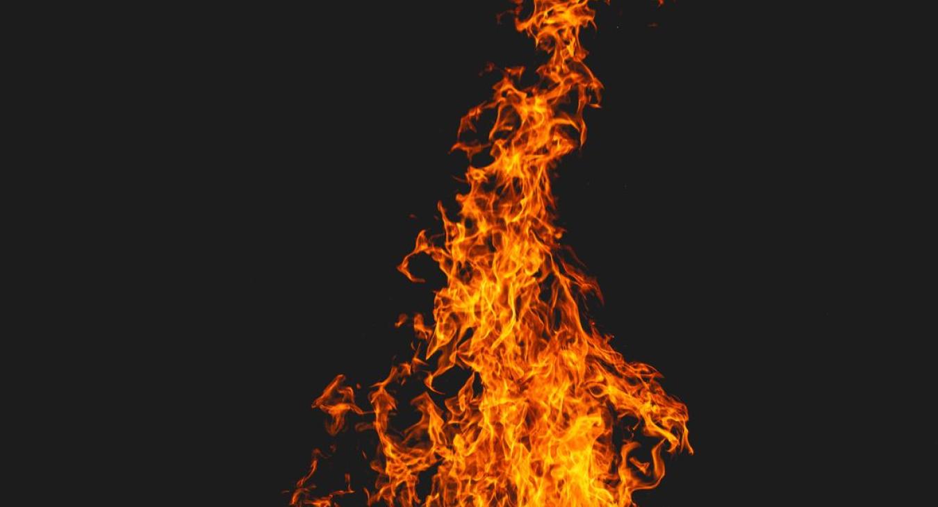 Feniks - kobiecość odzyskana (część wystawy "Uroda Życia")